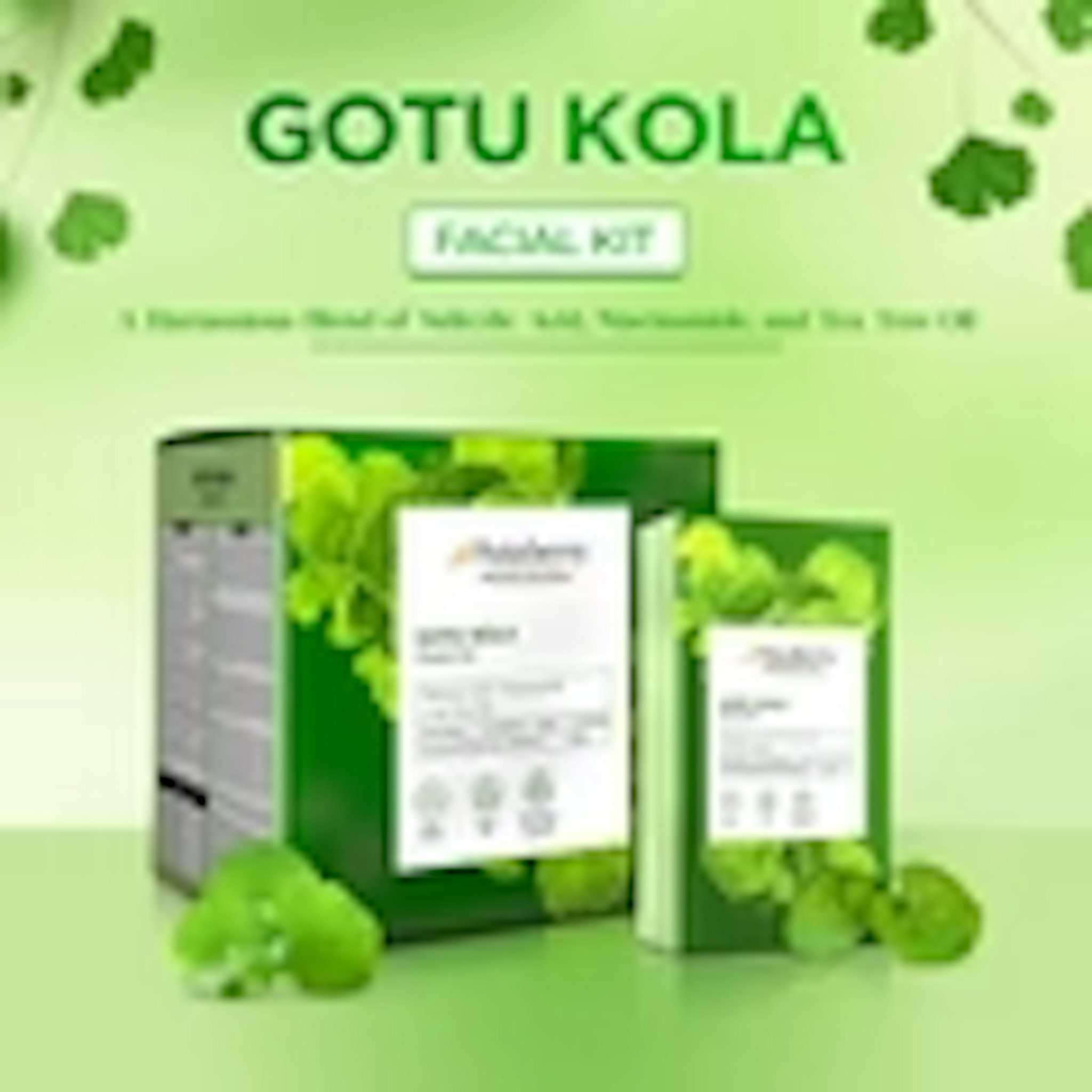 Professional Gotu Kola Facial Kit | 6 Steps 1 Facial Kit Set