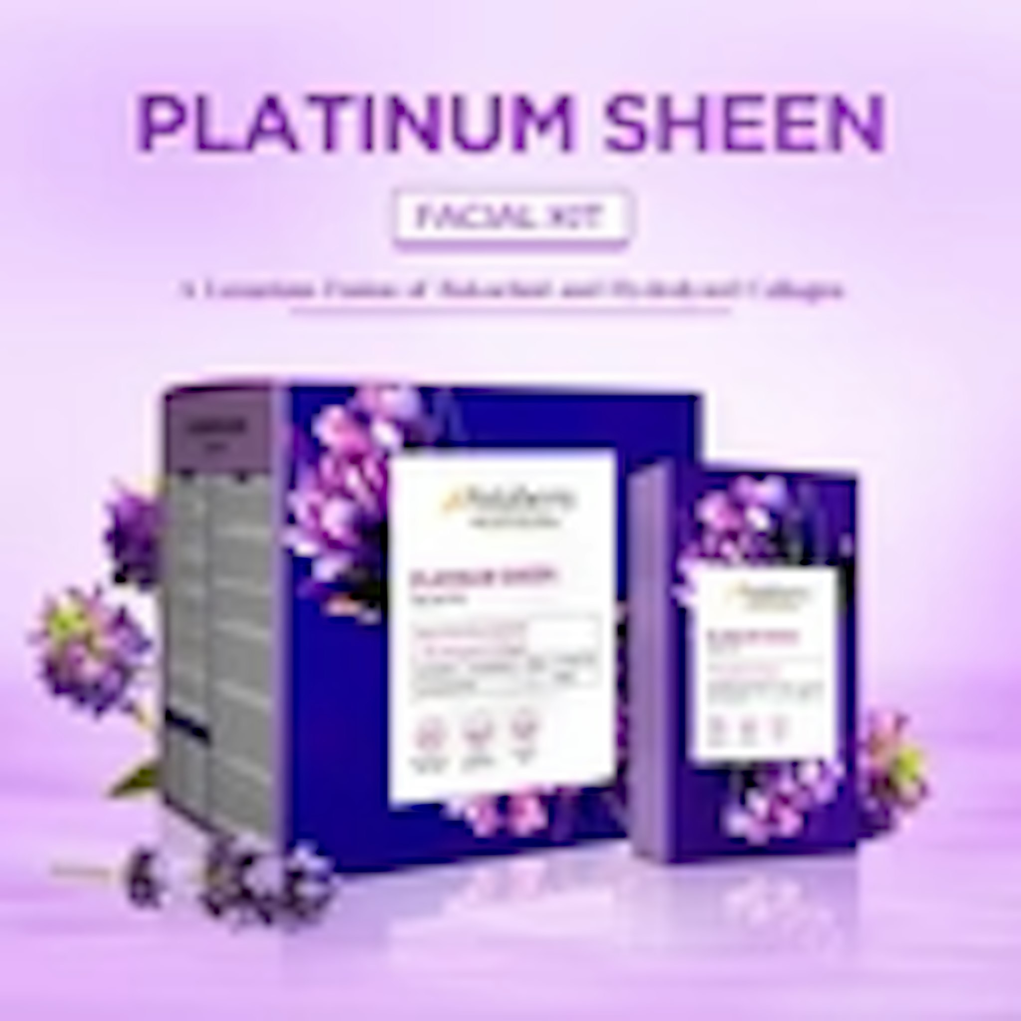 Professional Platinum Sheen Facial Kit | 6 Steps 1 Facial Kit Set