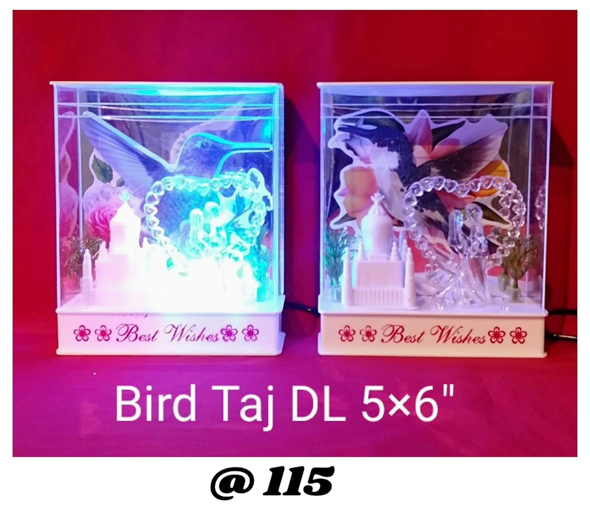 BIRD TAJ LIGHTING LIGHTING SHOW PC 